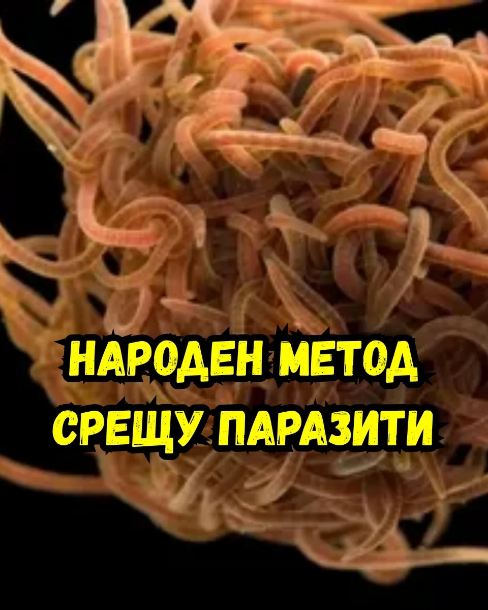 Енергийни напитки без захар