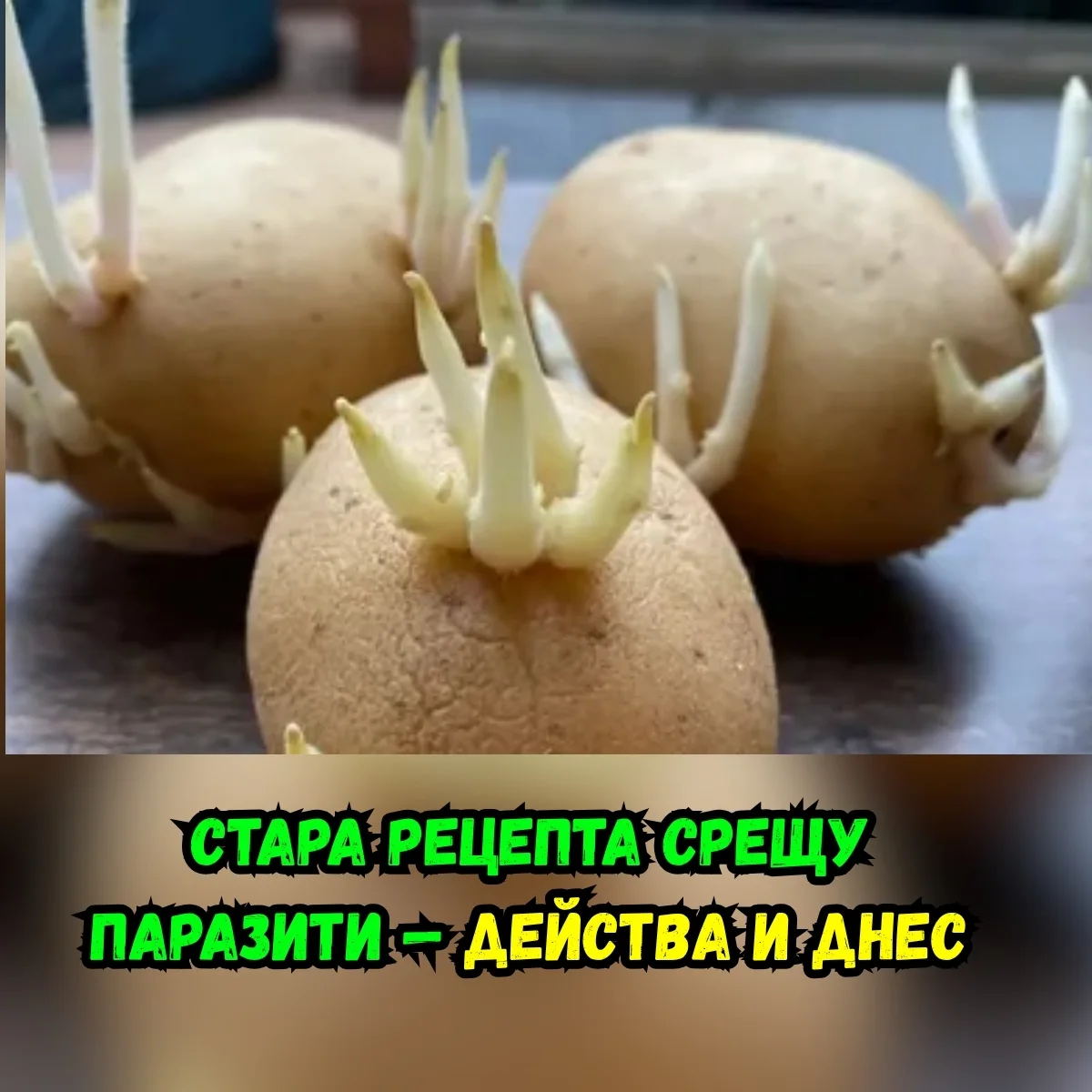 Цитрусна експлозия