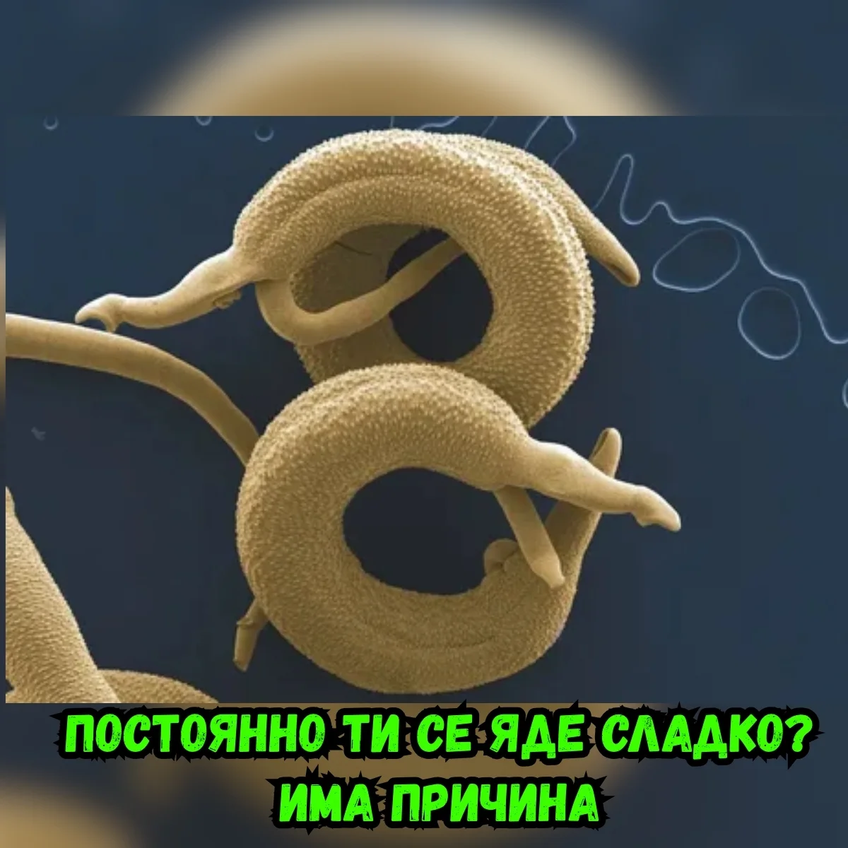 Тропична кокосова вода
